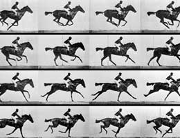 cordes-muybridge